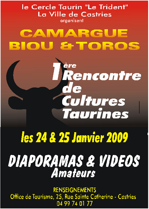 Camargue Biou et Toros